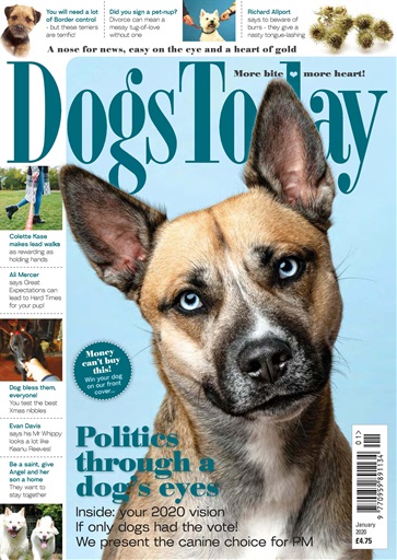 Dogs Today Magazine - January 2020 Back Issue