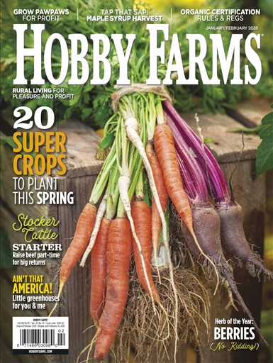 hobby farms chickens magazine