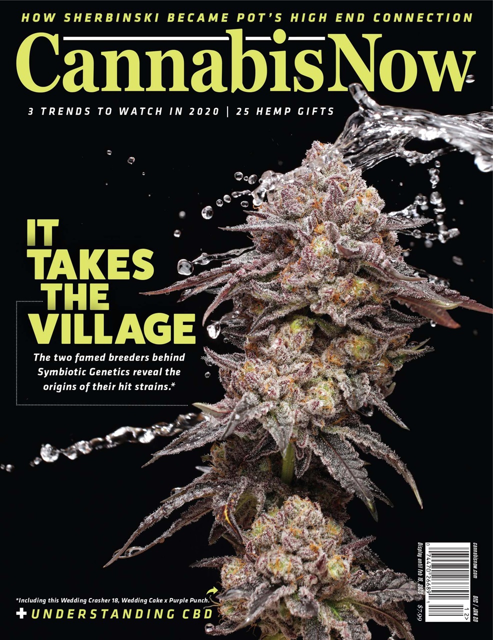 Cannabis Now Magazine - Issue 40 Subscriptions | Pocketmags