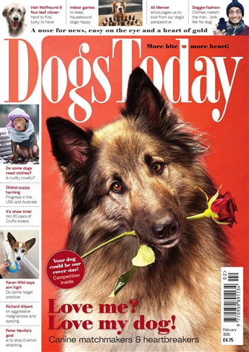 Dogs Today Magazine February 2020 Subscriptions Pocketmags