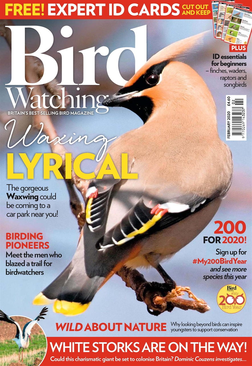 Bird Watching Magazine Feb 20 Back Issue
