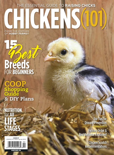 Chickens Magazine Chickens 101 Subscriptions Pocketmags