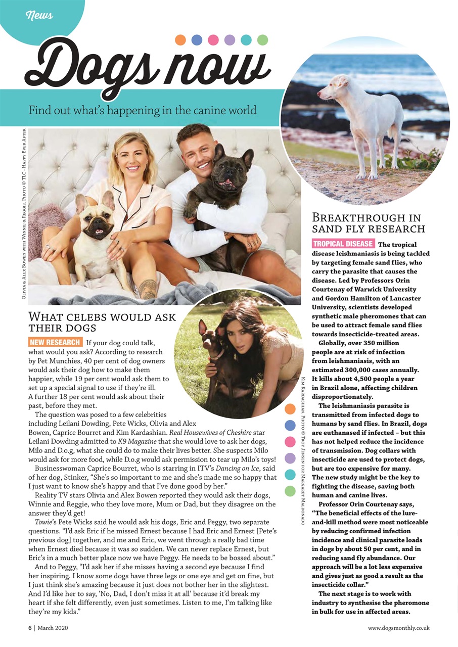 Dogs Monthly Magazine Subscriptions and March 2020 Issue Pocketmags