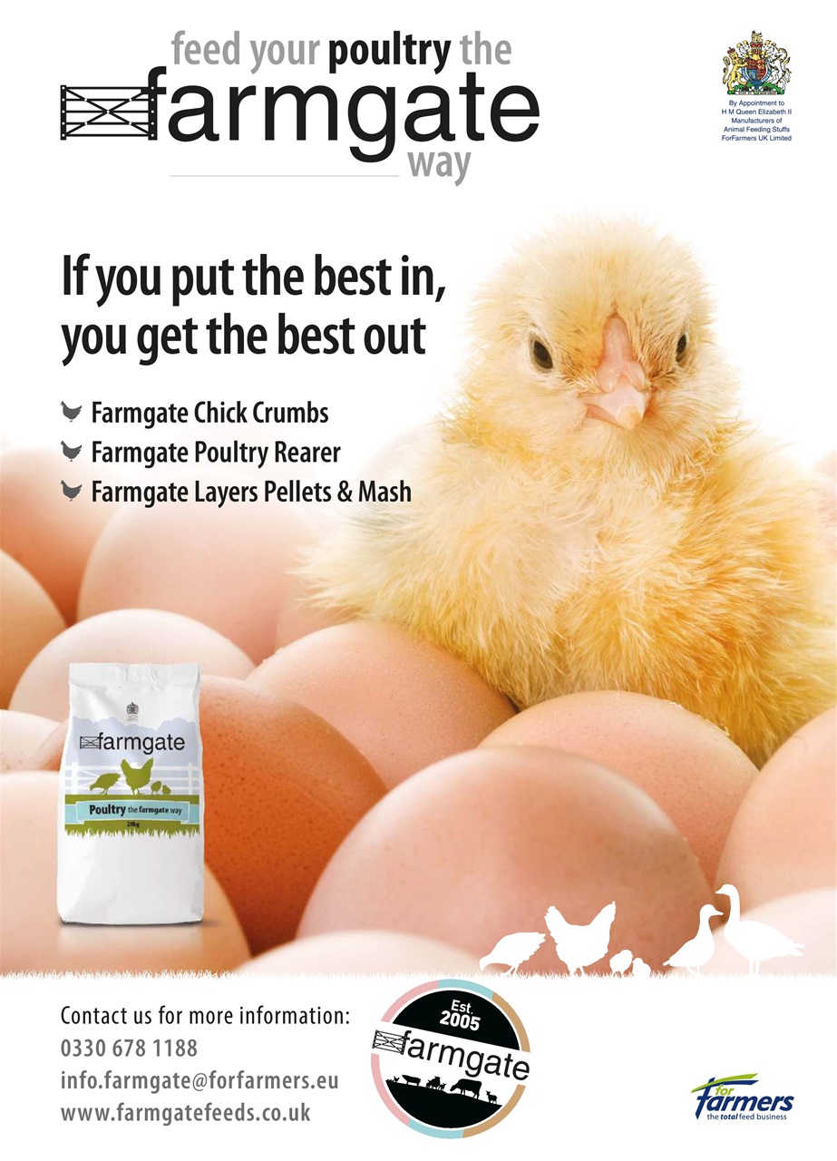 Practical Poultry Magazine Subscriptions and Mar/Apr 20 Issue