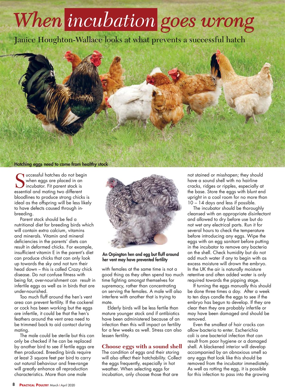 Practical Poultry Magazine Subscriptions and Mar/Apr 20 Issue