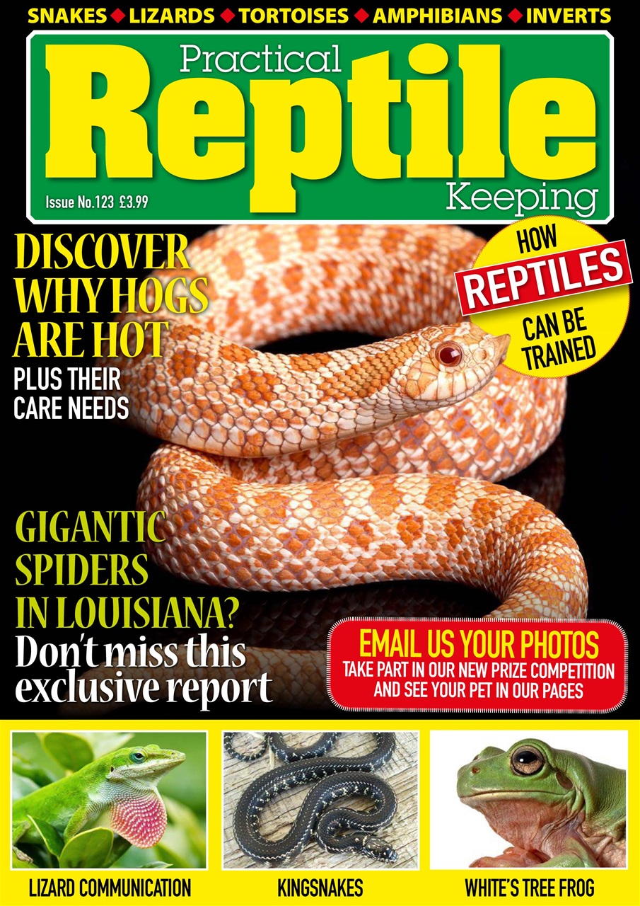 Practical Reptile Keeping Magazine Issue 123 Back Issue
