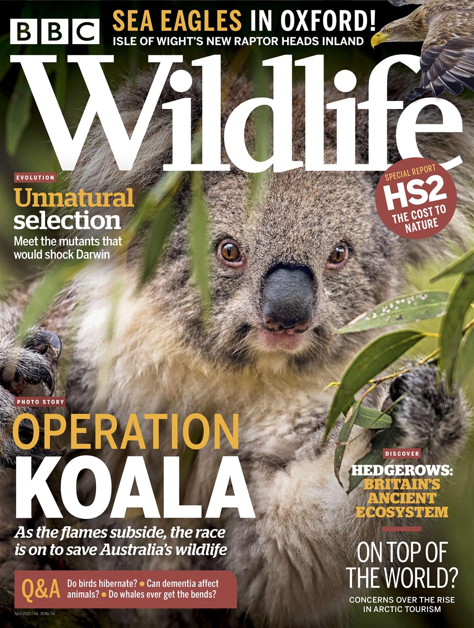 BBC Wildlife Magazine April 2020 Back Issue