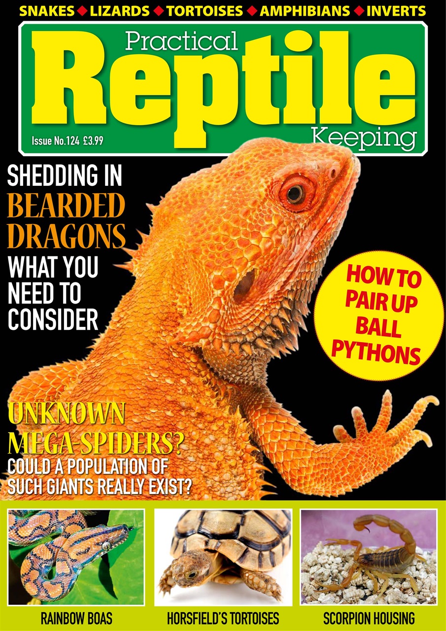 Practical Reptile Keeping Magazine Issue 124 Back Issue