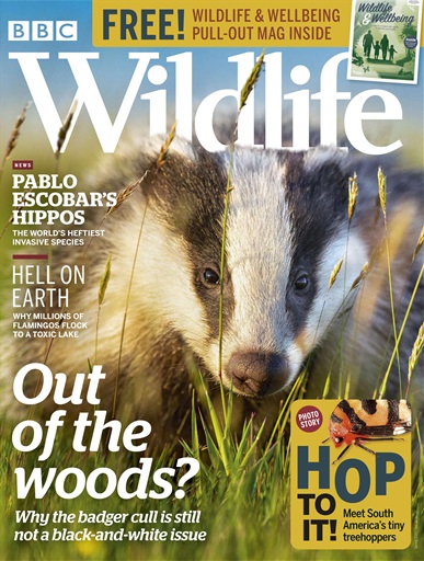 BBC Wildlife Magazine - Spring 2020 Back Issue