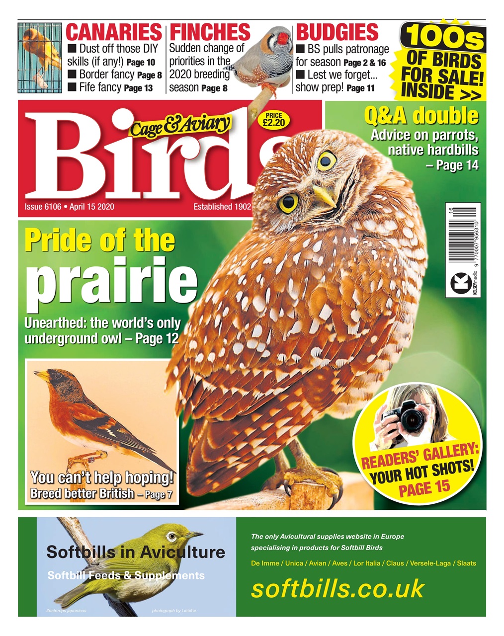 Cage & Aviary Birds Magazine - 15/04/2020 Subscriptions | Pocketmags