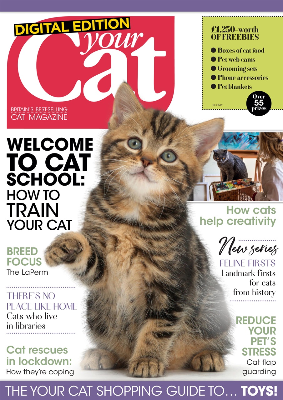 your-cat-magazine-your-cat-magazine-june-2020-back-issue