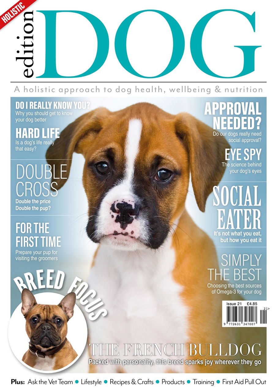 Edition Dog Magazine - Issue 21 Back Issue