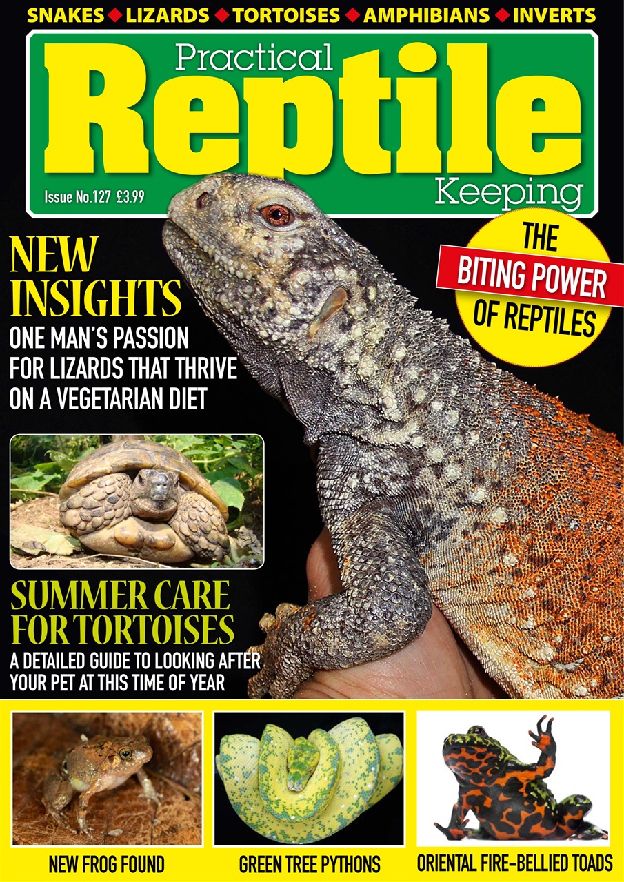 Practical Reptile Keeping Magazine Issue 127 Subscriptions Pocketmags