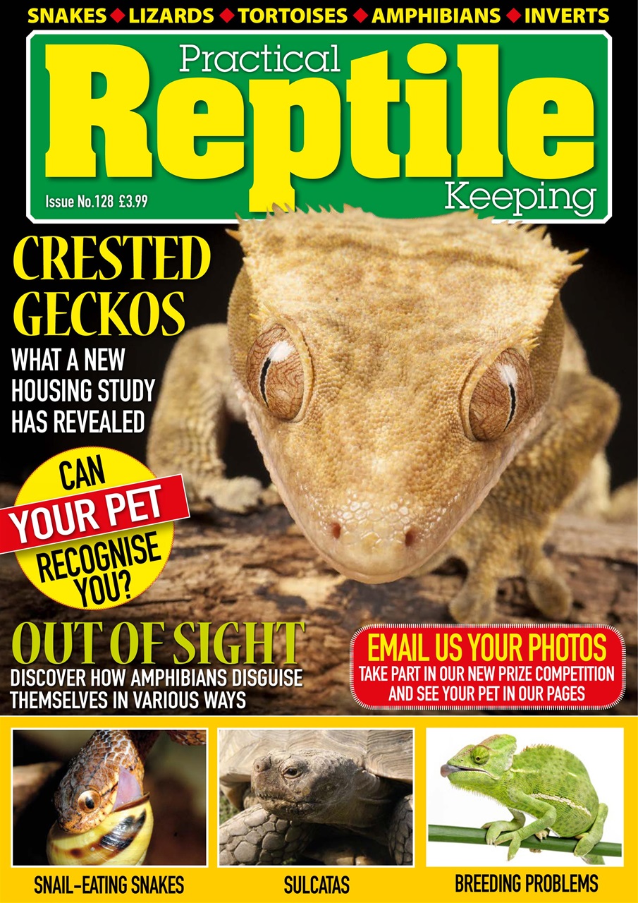 Practical Reptile Keeping Magazine Issue 128 Back Issue