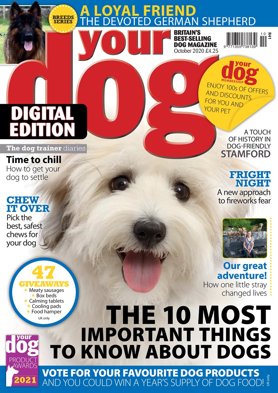 Your Dog Magazine Your Dog Magazine October 2020 Subscriptions