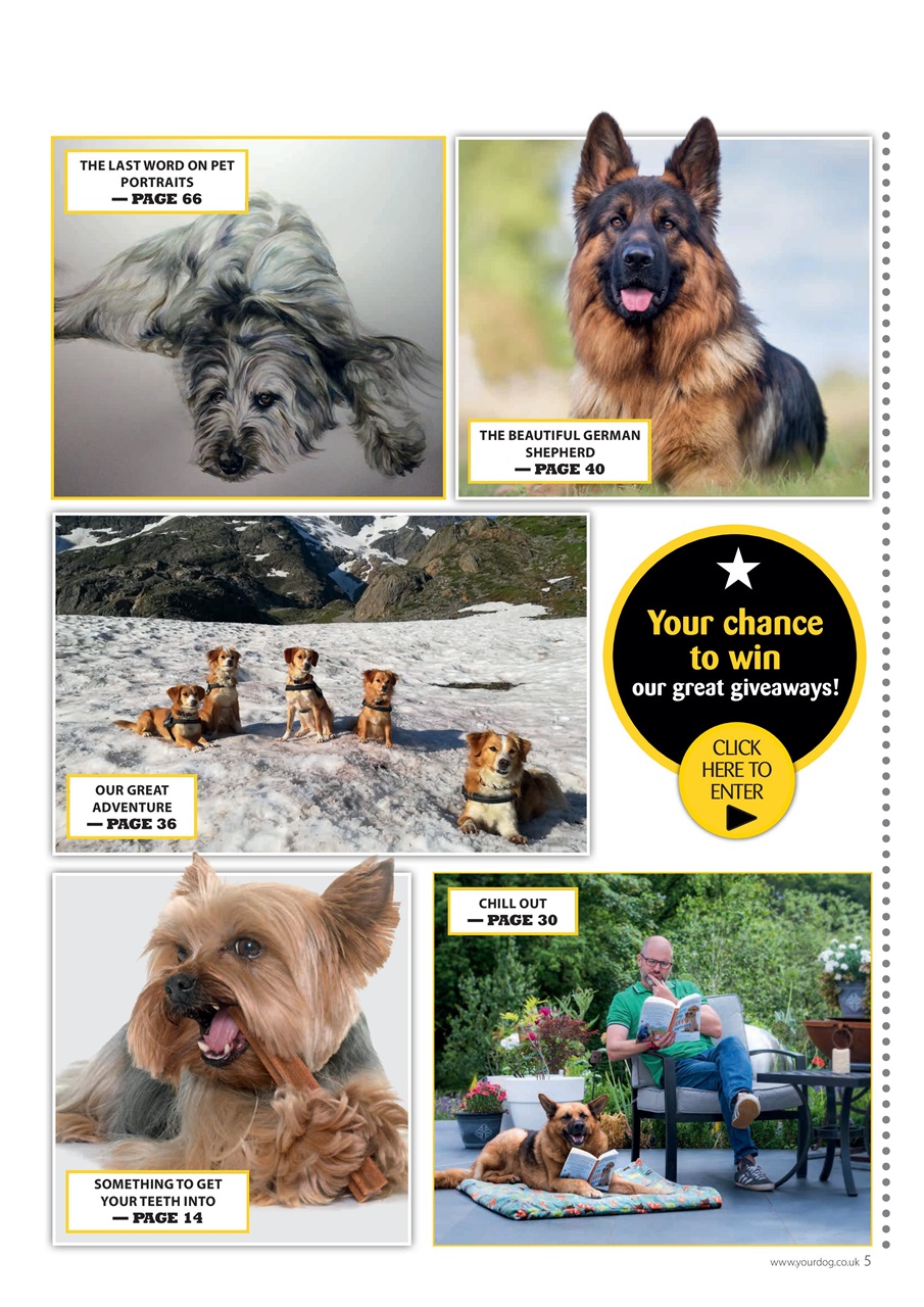 Your Dog Magazine Your Dog Magazine October 2020 Subscriptions