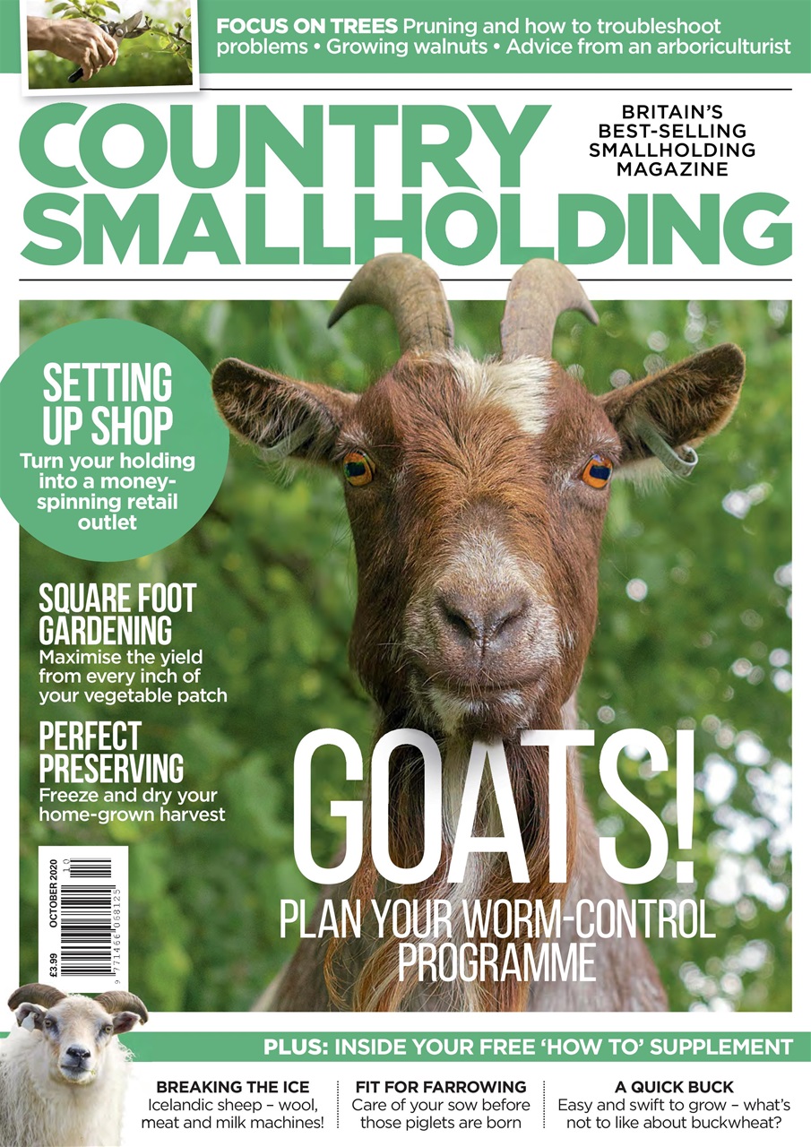 The Country Smallholder Magazine OCT 20 Back Issue