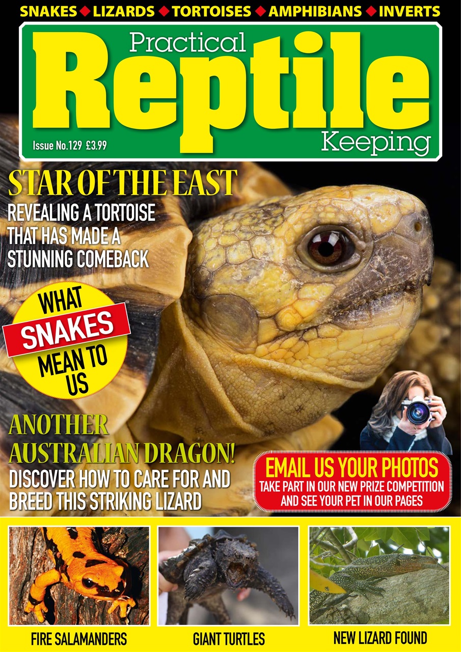 Practical Reptile Keeping Magazine - Issue 129 Back Issue