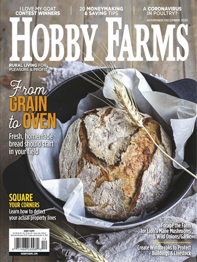 hobby farm magazine subscription