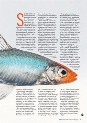 Practical Fishkeeping Magazine - Practical Fishkeeping