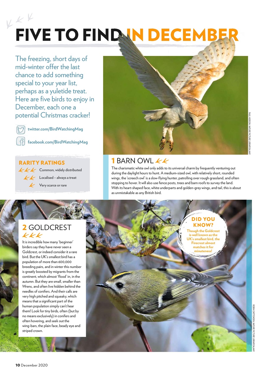 Bird Watching Magazine Dec 20 Subscriptions Pocketmags