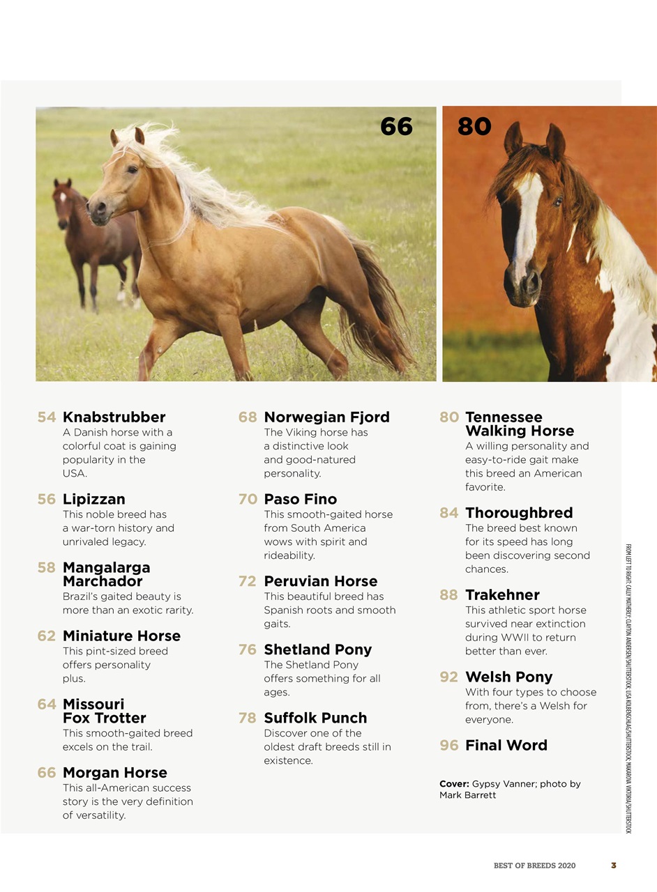 Horse Illustrated Magazine - Best of Breeds Subscriptions | Pocketmags