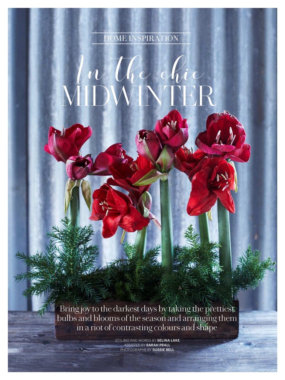 Country Living Magazine Feb 2021 Back Issue
