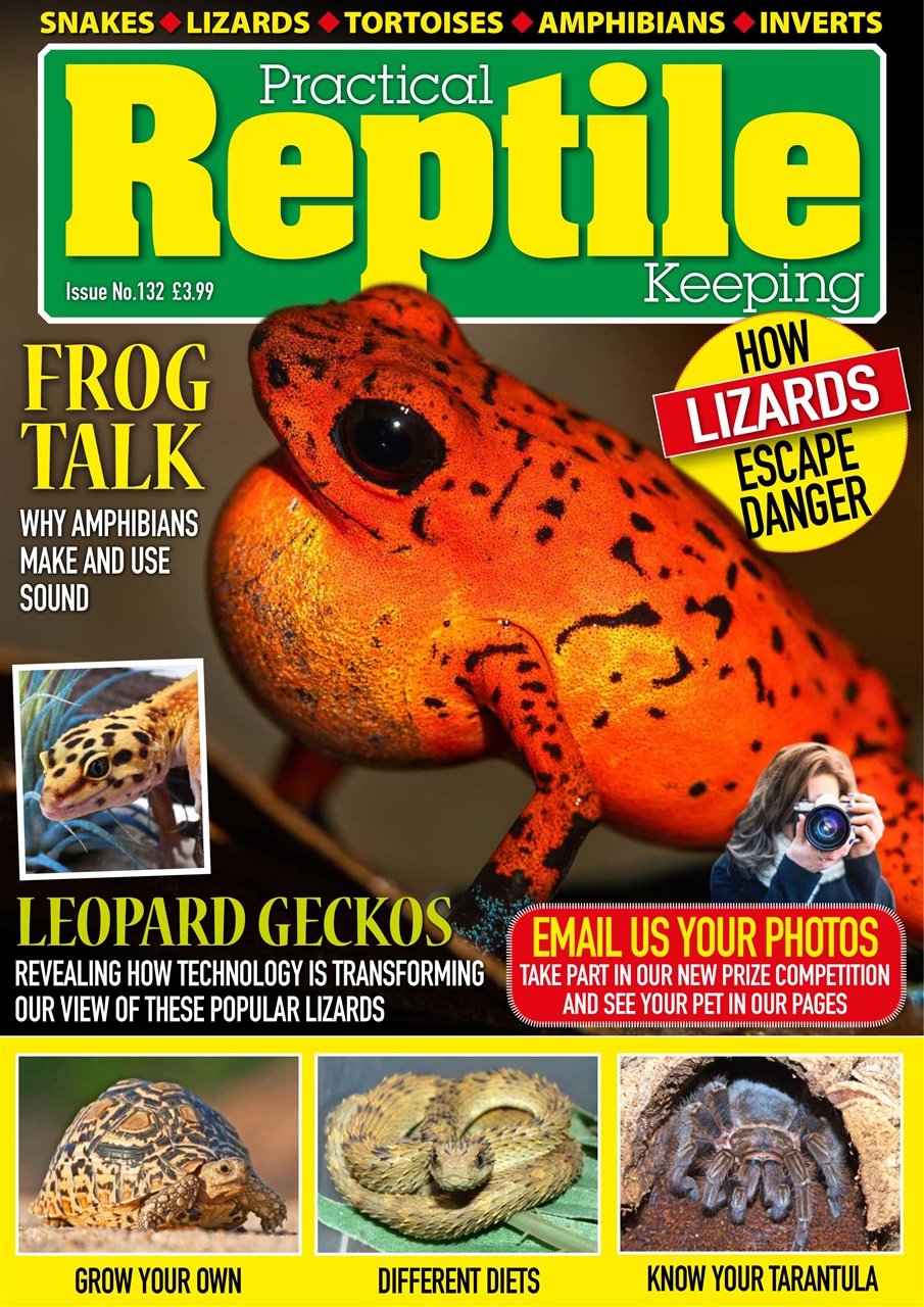 Practical Reptile Keeping Magazine - Issue 132 Subscriptions | Pocketmags