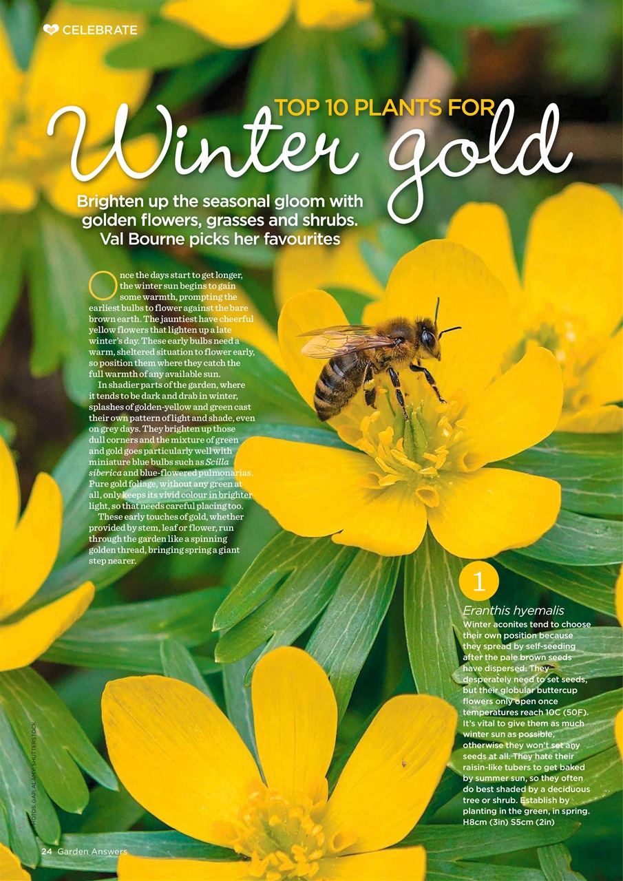 Garden Answers Magazine February 2021 Subscriptions Pocketmags