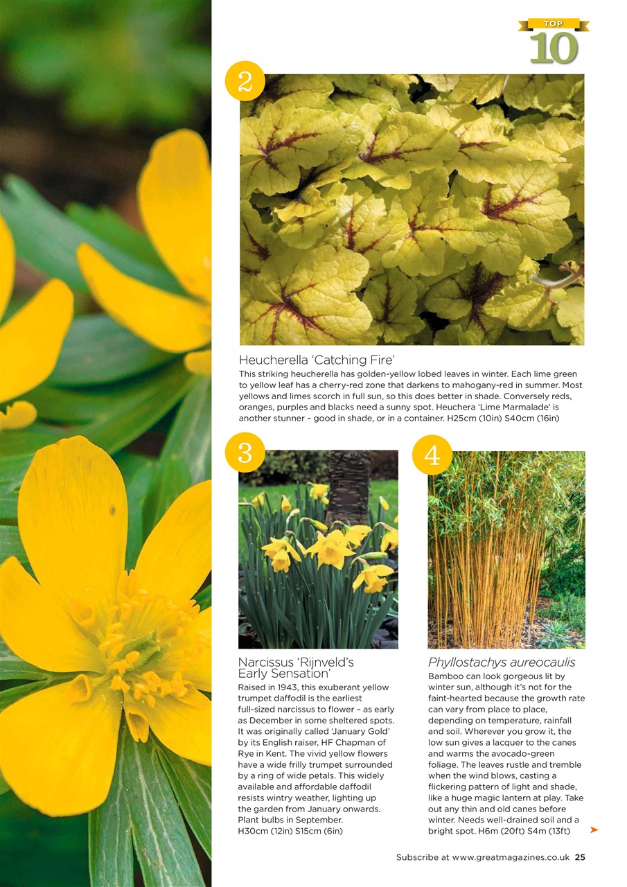 Garden Answers Magazine - February 2021 Subscriptions | Pocketmags