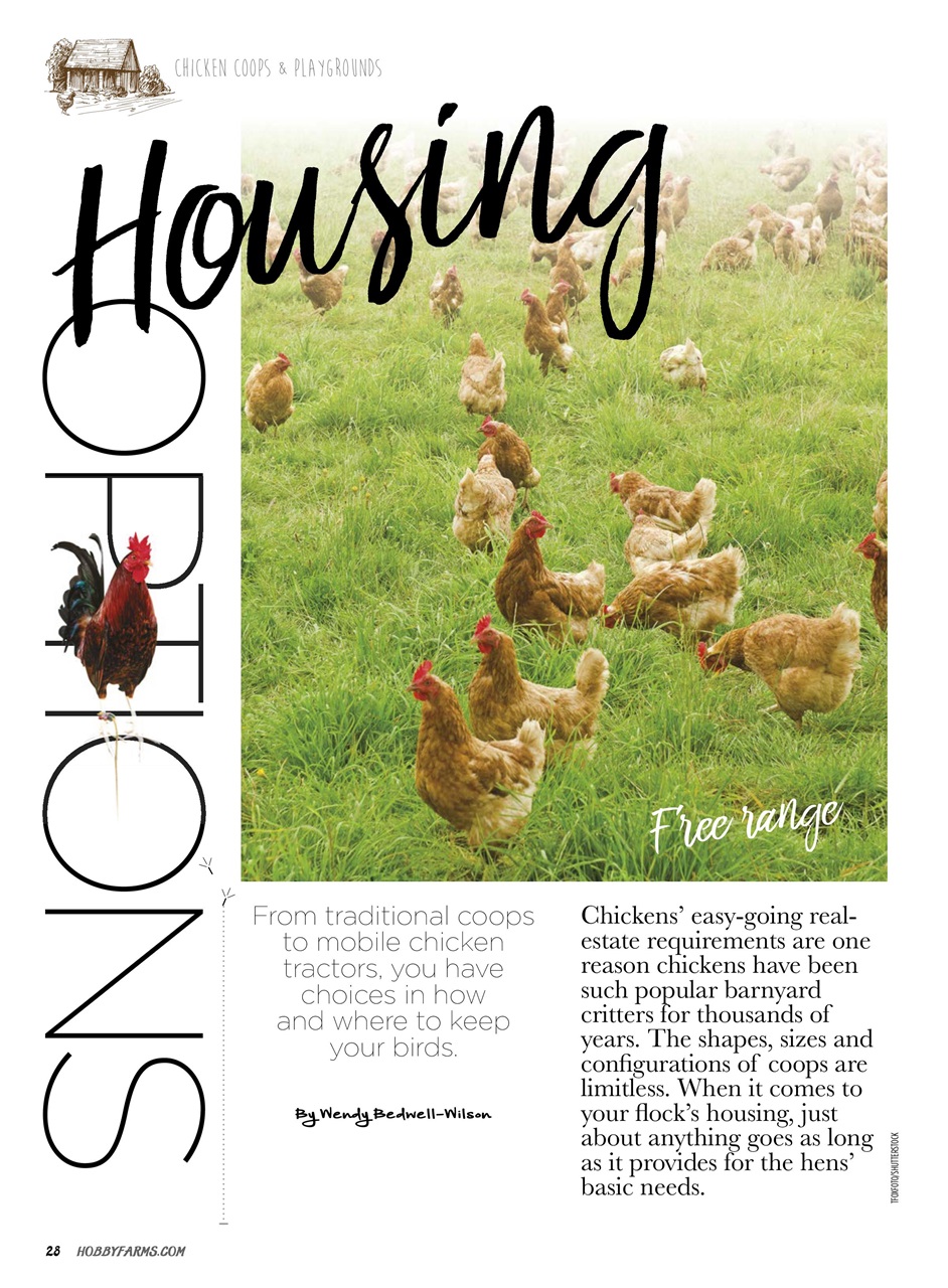 Chickens Magazine Chicken Coops and Playgrounds Special Issue