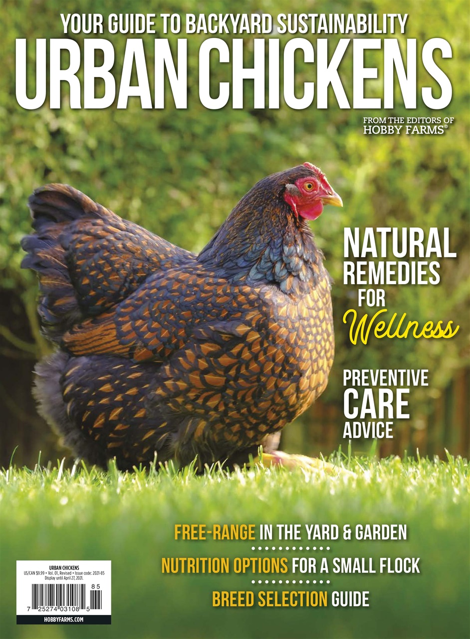 Chickens Magazine Urban ChickensHealthy Hens Special Issue