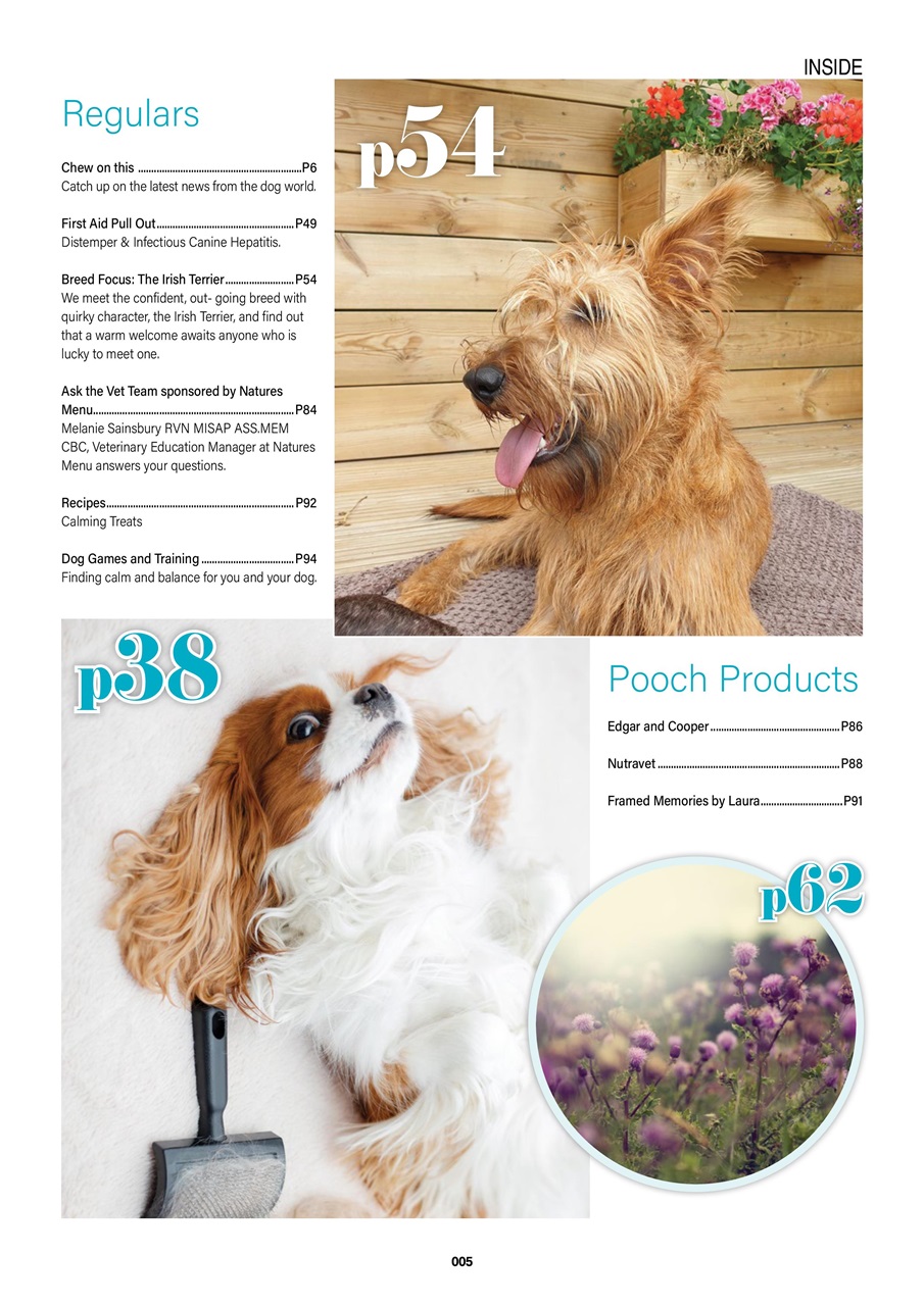 Edition Dog Magazine Feb 2021 Subscriptions Pocketmags