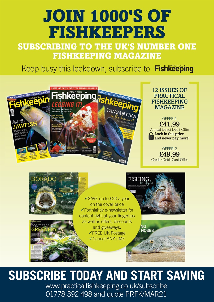 Fish keeping magazine