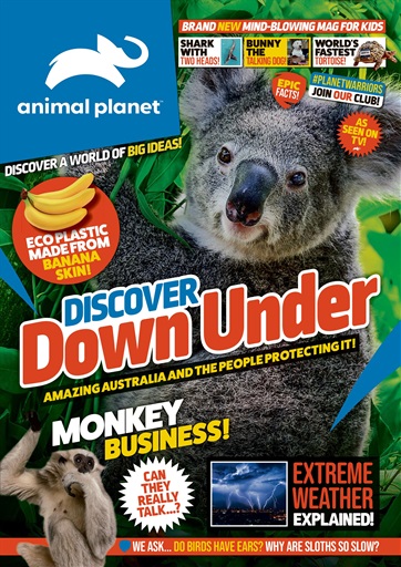 Animal Planet