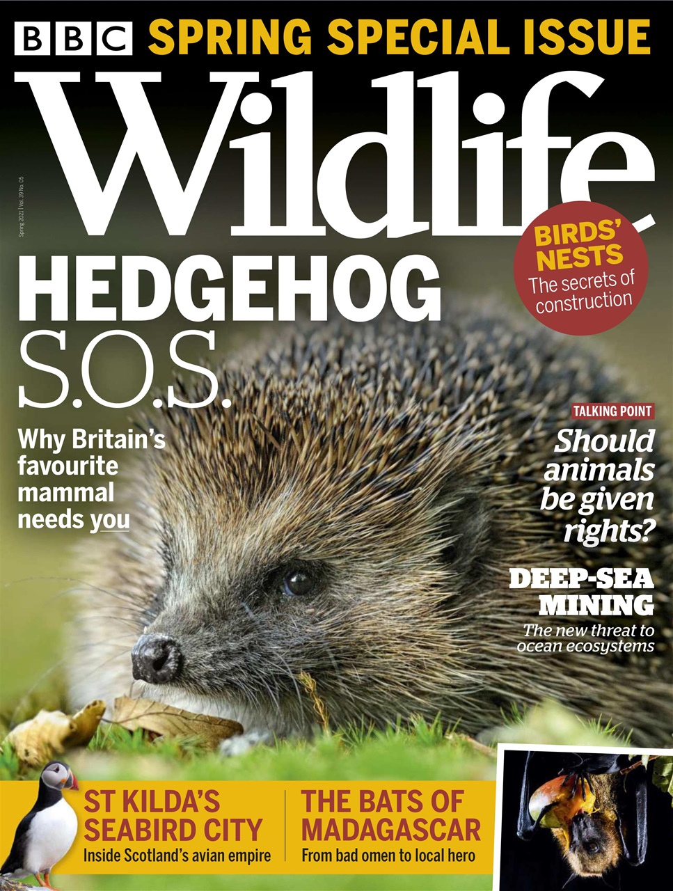 BBC Wildlife Magazine Spring 2021 Subscriptions Pocketmags