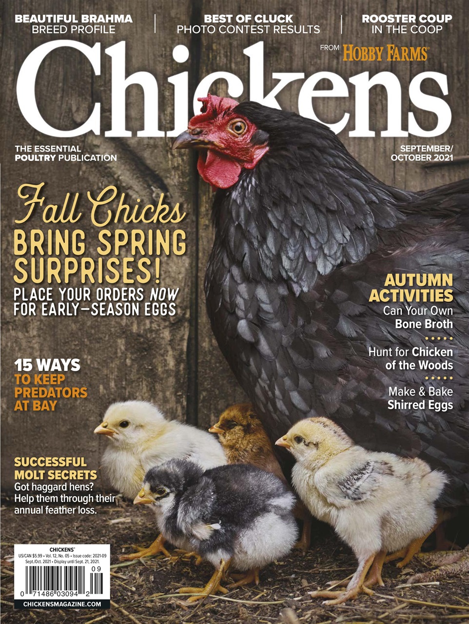 Chickens Magazine Sept/Oct Subscriptions Pocketmags