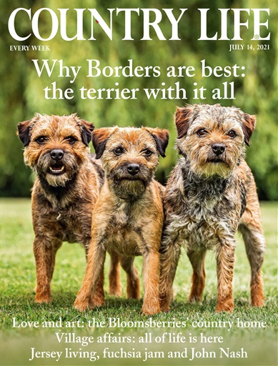 This week's issue of Country Life — and how to subscribe or get