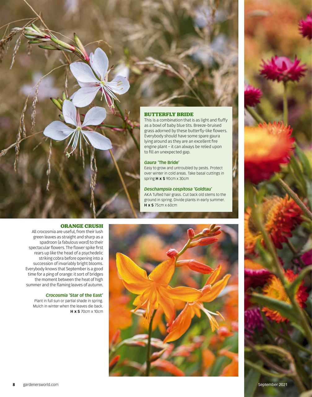 Bbc Gardeners World Magazine September Subscriptions Pocketmags