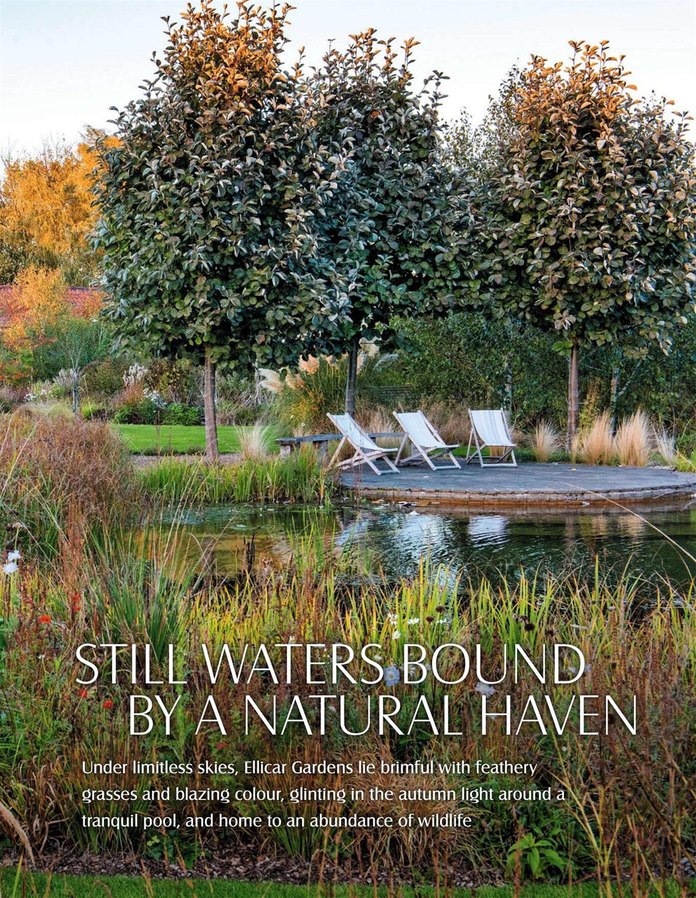 LandScape Magazine October 2021 Subscriptions Pocketmags