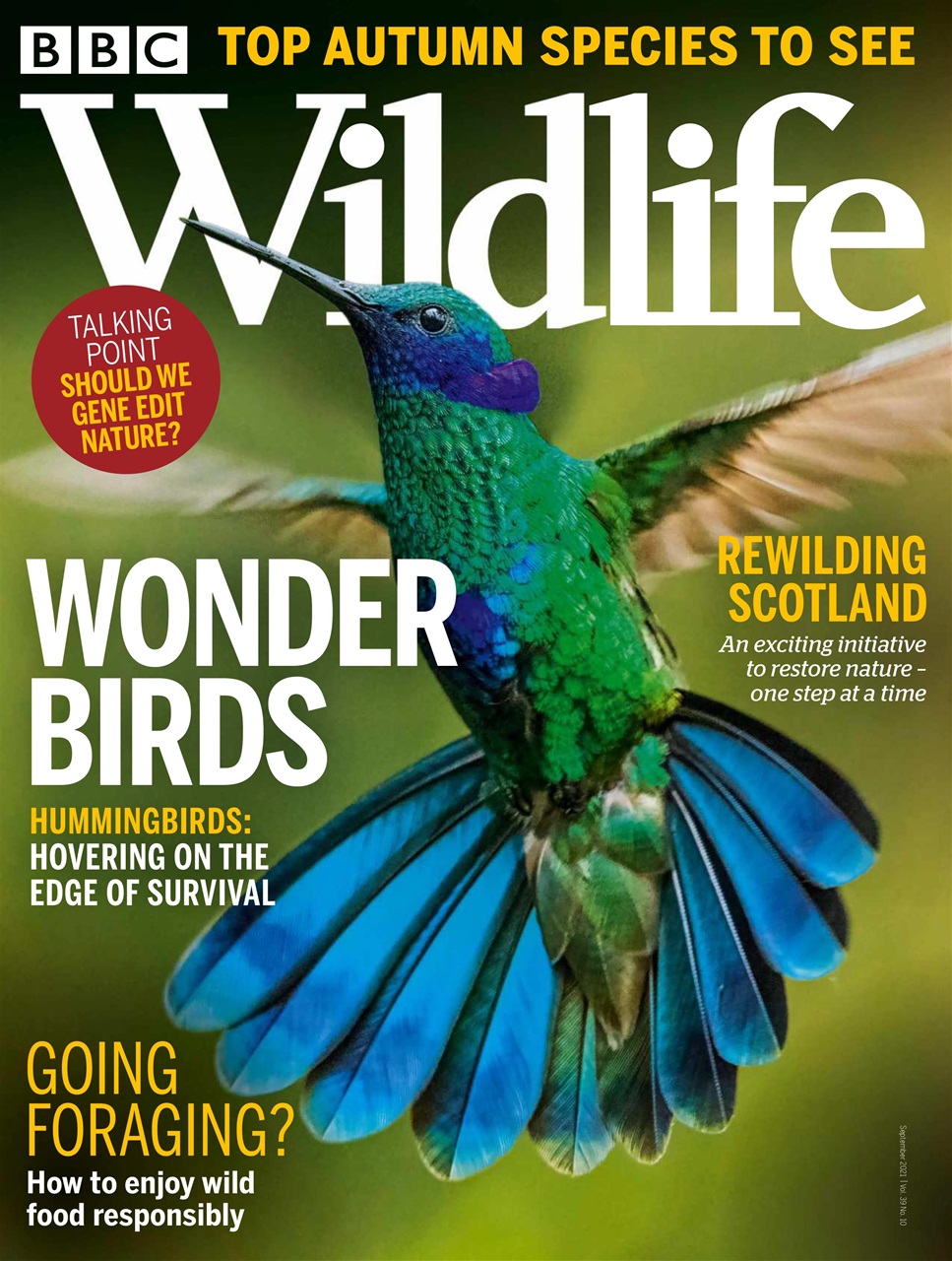 BBC Wildlife Magazine Sep21 Subscriptions Pocketmags