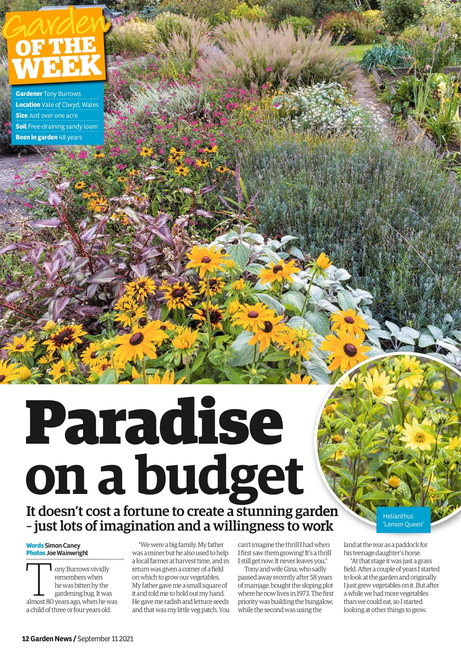 Garden News Magazine Sep 11th 2021 Subscriptions Pocketmags