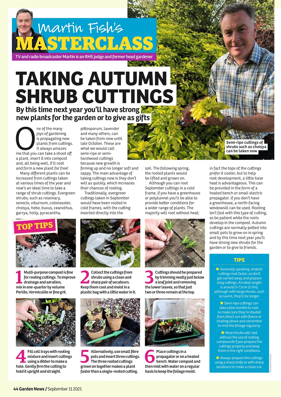 Garden News Magazine Sep 11th 2021 Subscriptions Pocketmags