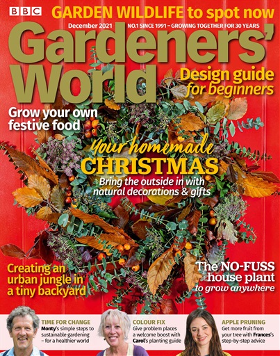 Modern Christmas Wreath - BBC Gardeners World Magazine