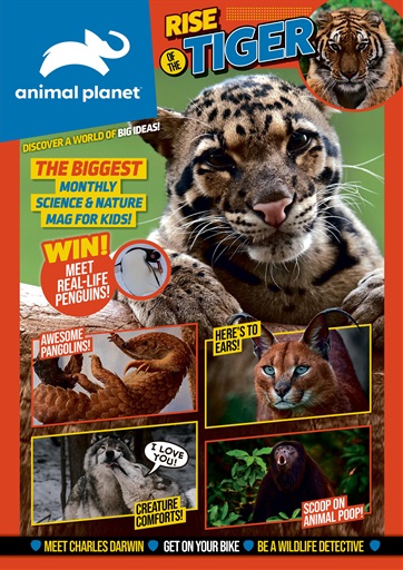 Animal Planet Kids Magazine - Issue 13 Back Issue