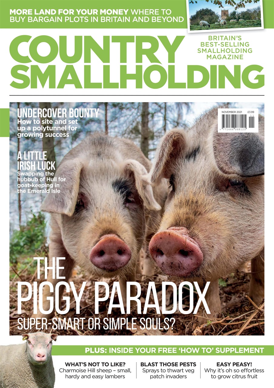 The Country Smallholder Magazine November 2021 Back Issue