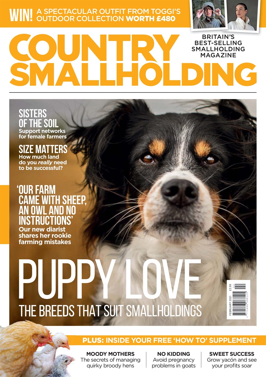 The Country Smallholder Magazine February 2021 Back Issue