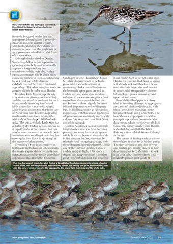 Birdwatch Magazine Preview 35