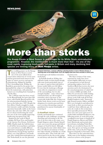 Birdwatch Magazine Preview 38