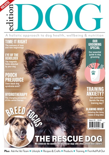 Edition Dog Magazine - Edition Dog Issue 43 Back Issue